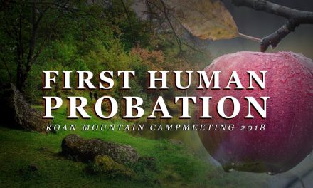 The First Human Probation
